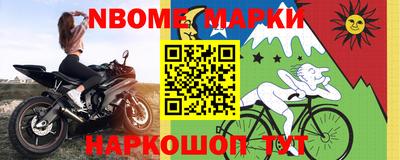 стафф Кингисепп