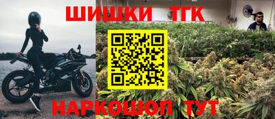 стафф Кингисепп