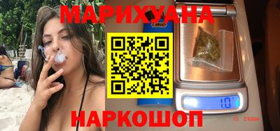 стафф Кингисепп