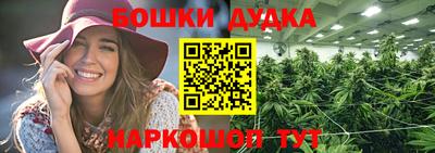 стафф Кингисепп