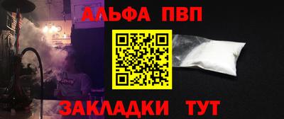 стафф Кингисепп
