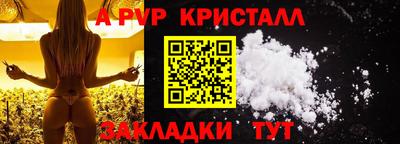 стафф Кингисепп