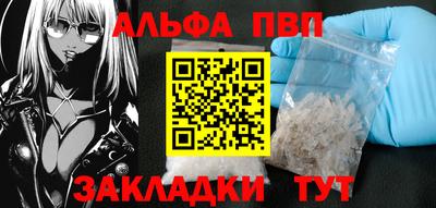 стафф Кингисепп