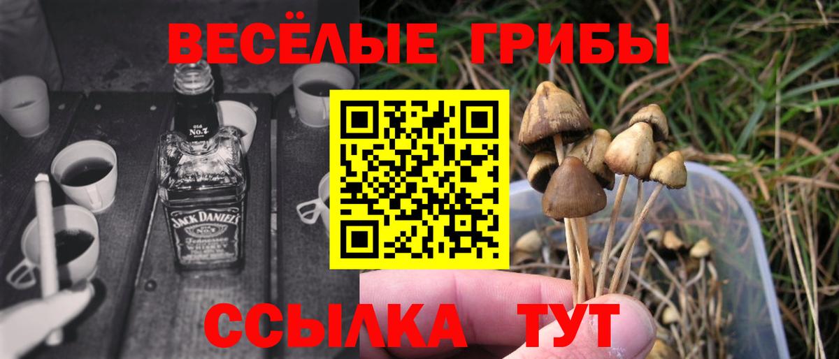 Галлюциногенные грибы GOLDEN TEACHER Кубинка
